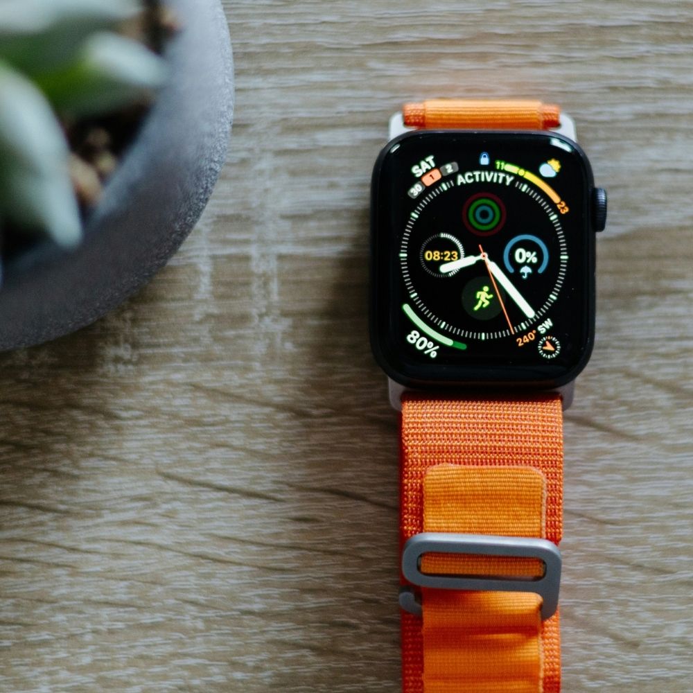 alpine loop apple watch