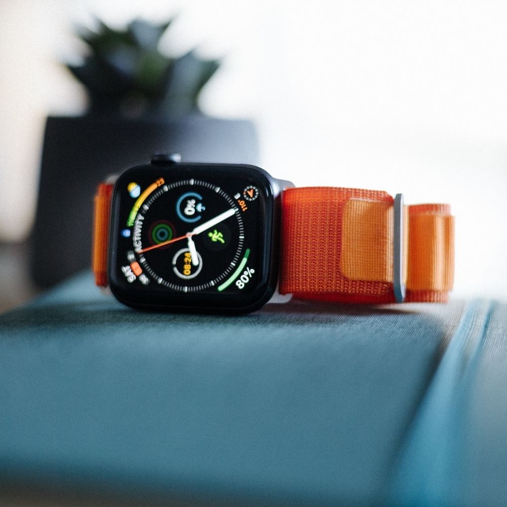 alpine loop apple watch